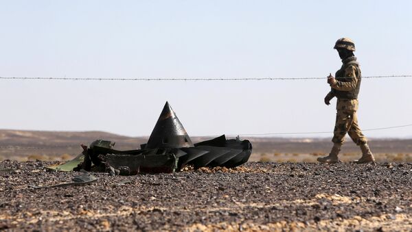 An Egyptian army soldier stands guard near debris from a Russian airliner which crashed at the Hassana area in Arish city, north Egypt, November 1, 2015 - Sputnik International