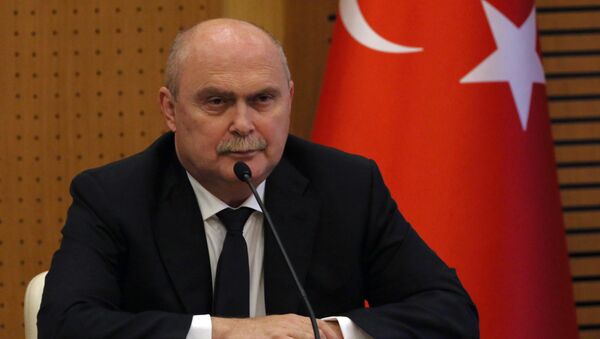 Turkish foreign minister Feridun Sinirlioglu. - Sputnik International
