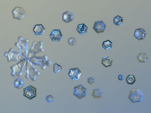 Fragile, Unique, Beautiful: The Mystery of Snowflakes - Sputnik International