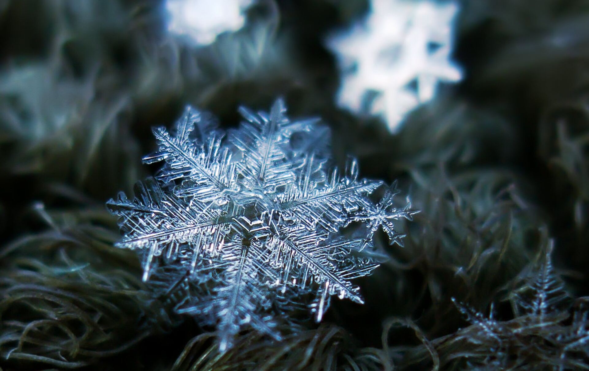 Снежинка в природе. Alexey_Kljatov. Микрофотография снежинки. Снежинка Макросъемка.