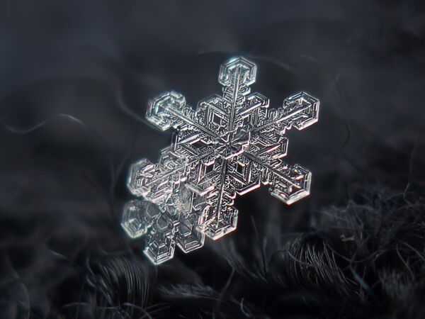 Fragile, Unique, Beautiful: The Mystery of Snowflakes - Sputnik International