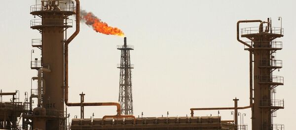 A general view shows Iraq's largest oil refinery in the northern town of Baiji. (File) A general view shows Iraq's largest oil refinery in the northern town of Baiji. (File) - Sputnik International