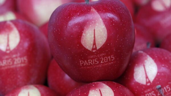 Apples marked with the logo of the World Climate Change Conference 2015 (COP21) are seen in this illustration picture at the Laquenexy Fruit Gardens, near Metz, eastern France, November 3, 2015 - Sputnik International