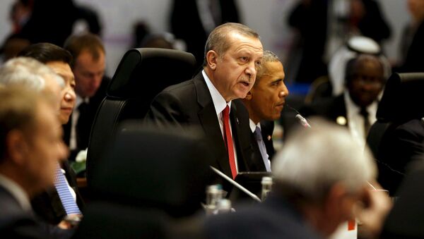 Turkey's President Recep Tayyip Erdogan (C) delivers opening remarks at in a working session on the global economy with fellow world leaders at the start of the G20 summit at the Regnum Carya Resort in Antalya, Turkey, November 15, 2015 - Sputnik International