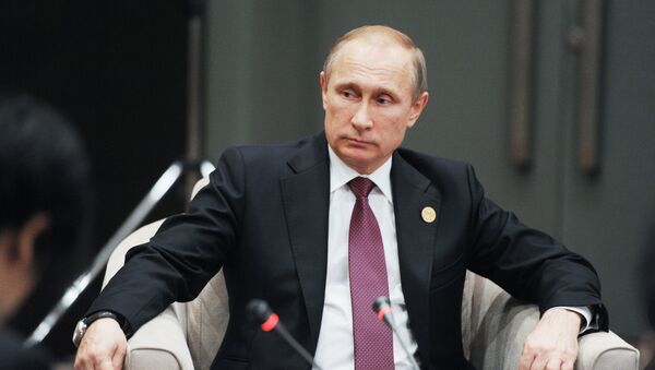 Vladimir Putin takes part in G20 summit in Turkey - Sputnik International