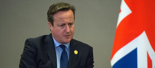 November 16, 2015. British Prime Minister David Cameron during a meeting with Russian President Vladimir Putin on the sidelines of the Group of 20 summit in Antalya, Turkey November 16, 2015. British Prime Minister David Cameron during a meeting with Russian President Vladimir Putin on the sidelines of the Group of 20 summit in Antalya, Turkey - Sputnik International