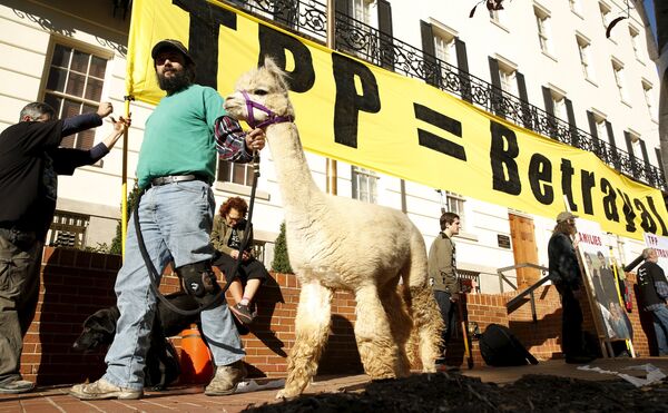 Farm activist Ethan Abbott walks with his alpaca during a protest of the TPP (Trans-Pacific Partnership) held outside the Office of the U.S. Trade Representative in Washington, November 16, 2015 Farm activist Ethan Abbott walks with his alpaca during a protest of the TPP (Trans-Pacific Partnership) held outside the Office of the U.S. Trade Representative in Washington, November 16, 2015 - Sputnik International