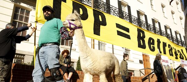 Farm activist Ethan Abbott walks with his alpaca during a protest of the TPP (Trans-Pacific Partnership) held outside the Office of the U.S. Trade Representative in Washington, November 16, 2015 Farm activist Ethan Abbott walks with his alpaca during a protest of the TPP (Trans-Pacific Partnership) held outside the Office of the U.S. Trade Representative in Washington, November 16, 2015 - Sputnik International