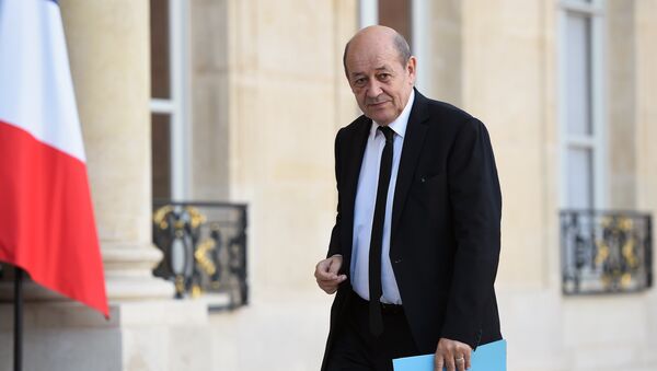 French Defence minister Jean-Yves Le Drian - Sputnik International