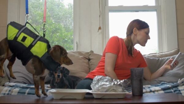 Mission: Impossible Dog - Sputnik International