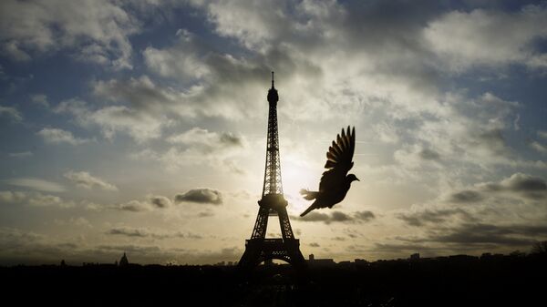 A bird flies in front of the Eiffel Tower ,which remained closed on the first of three days of national mourning, in Paris, Sunday, Nov. 15, 2015. - Sputnik International