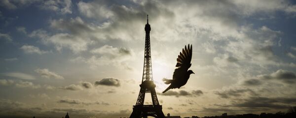 A bird flies in front of the Eiffel Tower ,which remained closed on the first of three days of national mourning, in Paris, Sunday, Nov. 15, 2015. - Sputnik International