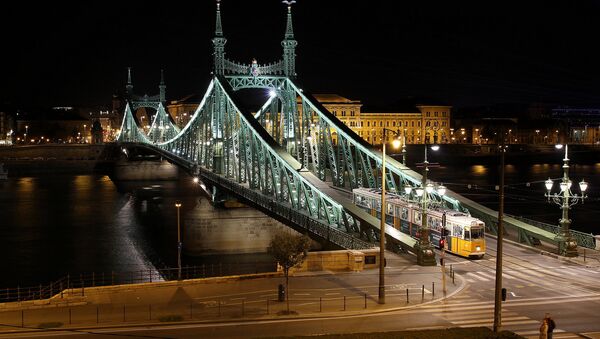 Liberty Bridge, Budapest, Hungary - Sputnik International