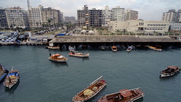 Port Said. View at Suez Canal - Sputnik International
