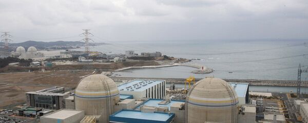 In this Feb. 5, 2013 photo, Shin-Kori No. 2 nuclear power plant, left in foreground, stands next to Shin-Kori No. 1 plant, right foreground, in Ulsan, South Korea In this Feb. 5, 2013 photo, Shin-Kori No. 2 nuclear power plant, left in foreground, stands next to Shin-Kori No. 1 plant, right foreground, in Ulsan, South Korea - Sputnik International
