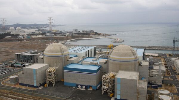In this Feb. 5, 2013 photo, Shin-Kori No. 2 nuclear power plant, left in foreground, stands next to Shin-Kori No. 1 plant, right foreground, in Ulsan, South Korea - Sputnik International