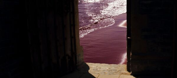 Open doors Open doors - Sputnik International