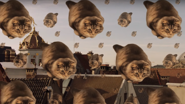 Silver Lining: Surreal Cat Tourism Ad Emerges from Brussels Lockdown - Sputnik International