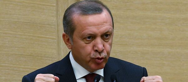 Turkey's President Recep Tayyip Erdogan Turkey's President Recep Tayyip Erdogan - Sputnik International