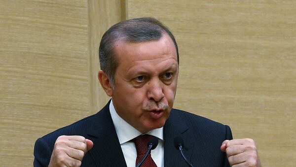Turkey's President Recep Tayyip Erdogan - Sputnik International