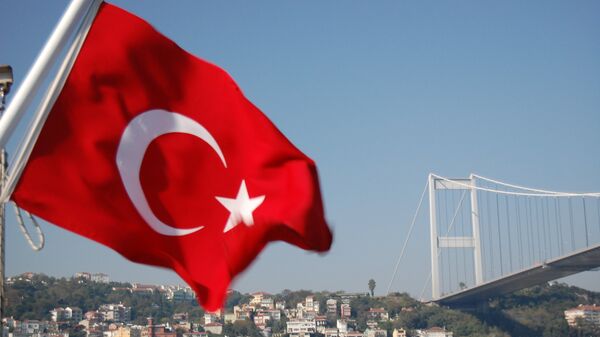 Bosphorus Bridge and Turkish Flag - Sputnik International