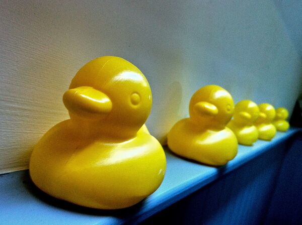 Plastic Yellow Ducks - Sputnik International