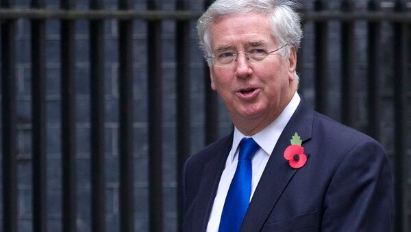 British Defence Secretary Michael Fallon arrives for the weekly cabinet meeting at 10 Downing Street in London. - Sputnik International