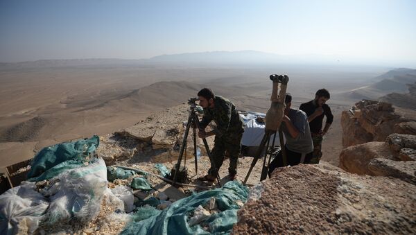 Syrian army's positions near Palmyra - Sputnik International