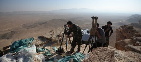 Syrian army's positions near Palmyra Syrian army's positions near Palmyra - Sputnik International
