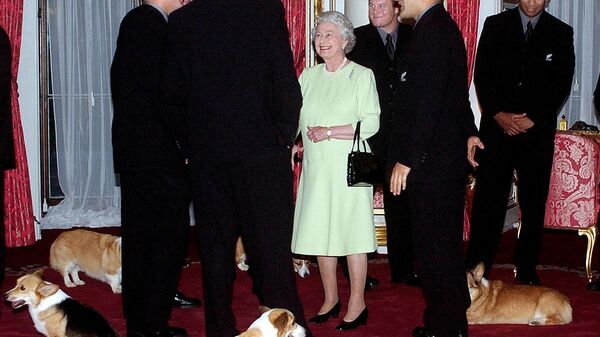 Королева Елизавета II и ее собаки породы вельш корги пемброк   - Sputnik International