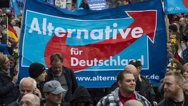 Supporters of the right-wing populist Alternative for Germany (AfD) party display an AfD banner during a demonstration by AfD supporters in Berlin on November 7, 2015 - Sputnik International