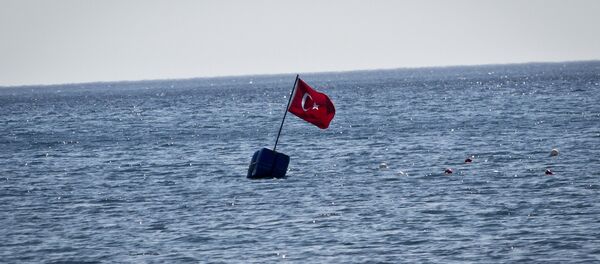 Turkey flag - Sputnik International