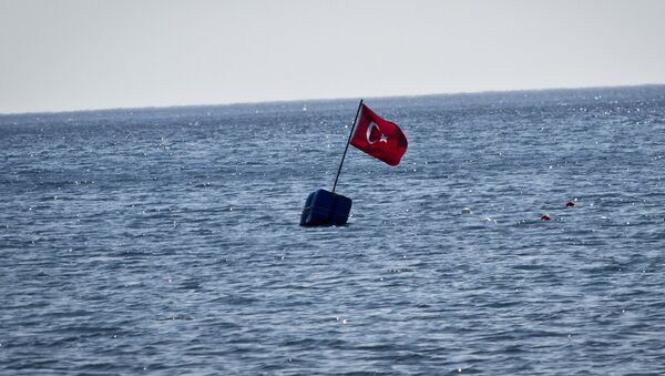 Turkey flag - Sputnik International