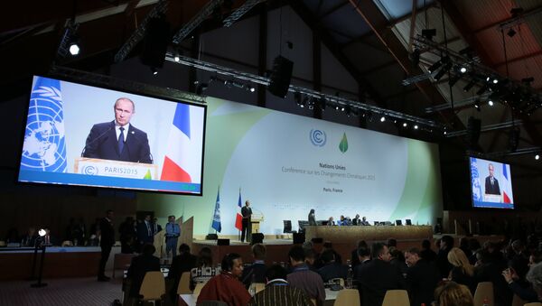 Russian President Vladimir Putin speaking at the 2015 Paris Climate Conference - Sputnik International