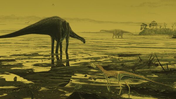 Handout of an artist's impression of Saurpod dinosaurs on the Isle of Skye - Sputnik International