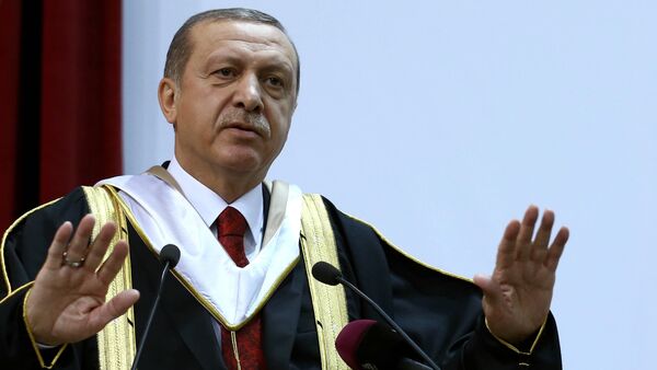 File Photo: Turkey's President Recep Tayyip Erdogan addresses after he received an honorary doctorate from Qatar University in Doha, Qatar, Wednesday, Dec. 2, 2015 - Sputnik International