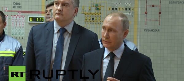 Russia: Putin inaugurates Crimea energy bridge - Sputnik International