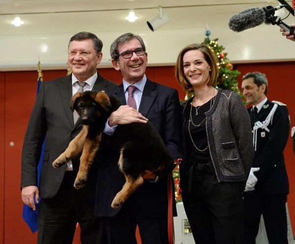 Deputy Minister of Foreign Affairs of Russia Igor Zubov (L) and French Ambassador to Russia Jean-Maurice Ripert with his wife Mme Yael Bric during the handing over of a puppy called Dobrynya as a gift to the French police at a ceremony held at the French embassy in Moscow.  - Sputnik International