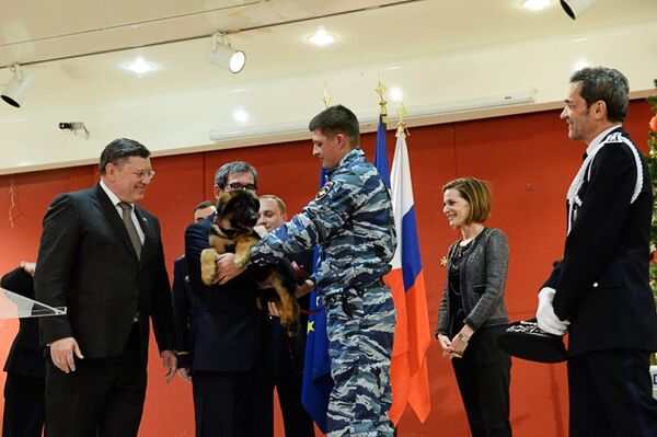 Deputy Minister of Foreign Affairs of Russia Igor Zubov and French Ambassador to Russia Jean-Maurice Ripert (from left) during the handing over of a puppy called Dobrynya as a gift to the French police at a ceremony held at the French embassy in Moscow. - Sputnik International