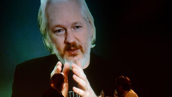 Julian Assange. File photo - Sputnik International