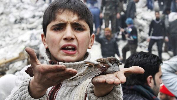 A Syrian boy holds a bird in his hand that he said was injured in an airstrike hit the neighborhood of Ansari, in Aleppo, Syria, Sunday, Feb. 3, 2013. - Sputnik International