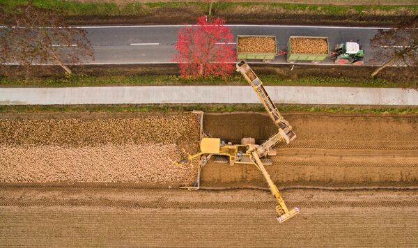 Aerial view taken on November 26, 2015 shows farmers cropping sugar beets on a field near Pattensen in the Hanover region, central Germany Aerial view taken on November 26, 2015 shows farmers cropping sugar beets on a field near Pattensen in the Hanover region, central Germany - Sputnik International