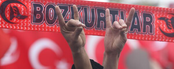 Supporters of the Nationalist Movement Party make gestures symbolizing Grey Wolves, the ultra-nationalist, neo-fascist youth organization of the party, in Ankara December 13, 2009 during a brotherhood rally in reaction to a decision by a court on December 11, 2009 to disband the Kurdish Democratic Society Party (DTP) - Sputnik International