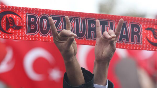 Supporters of the Nationalist Movement Party make gestures symbolising the Grey Wolves, the extremist youth organisation of the party, in Ankara on 13 December 2009 during a brotherhood rally in reaction to a decision by a court on 11 December 2009 to disband the Kurdish Democratic Society Party (DTP) - Sputnik International