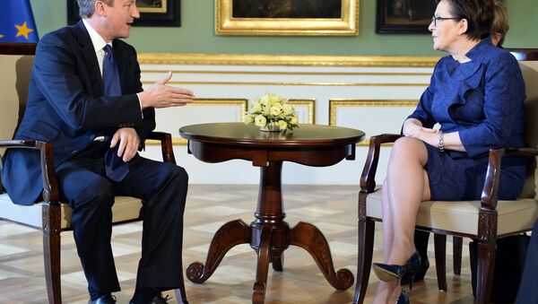 British Prime Minister David Cameron (L) talks with his Polish counterpart Ewa Kopacz in Lazienki palace in Warsaw on May 29, 2015. - Sputnik International