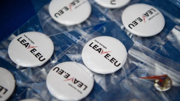 Campaign merchandise is on display at a stall before a press briefing by the Leave.EU campaign group in central London on November 18, 2015. - Sputnik International