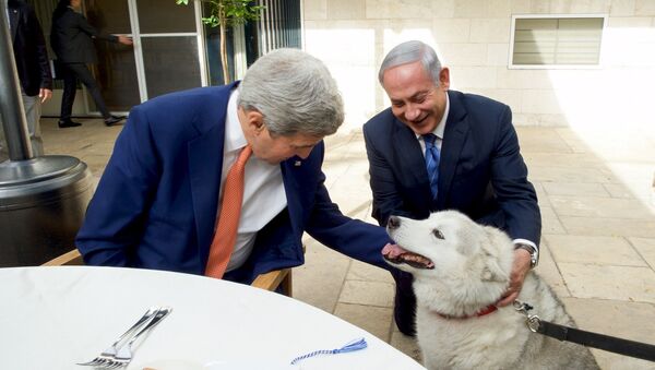 Israeli Prime Minister Benjamin Netanyahu (R) shows U.S. Secretary of State John Kerry his recently adopted dog Kaiya, during their meeting in Jerusalem November 24, 2015. Netanyahu's recently adopted dog Kaiya has sunk her teeth into her new position, biting two visitors at an event on December 9, 2015 - Sputnik International