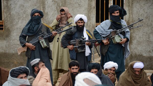 Afghan Taliban militants - Sputnik International
