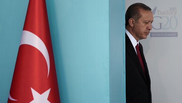 Turkish President Recep Tayyip Erdogan attends to the G20 Leaders Summit welcoming ceremony on November 15,2015 in Antalya - Sputnik International