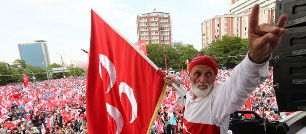 Turkish nationalist organization Gray wolves , wave their flags during a rally by Turkey's opposition Nationalist Action Party, MHP in Ankara, Turkey, May 24, 2015 Turkish nationalist organization Gray wolves , wave their flags during a rally by Turkey's opposition Nationalist Action Party, MHP in Ankara, Turkey, May 24, 2015 - Sputnik International